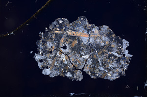 Cross Polarized, E3707