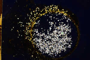 Cross Polarized, E3711