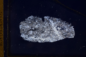 Cross Polarized, E3719