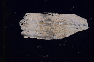 Cross Polarized, E3720