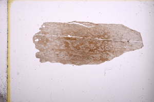 Plane Polarized, E3720