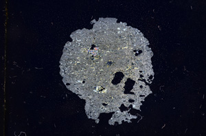 Cross Polarized, E3725