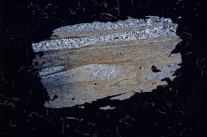 Cross Polarized, E3727