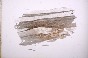 Plane Polarized, E3727