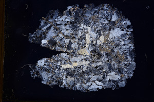 Cross Polarized, E3728