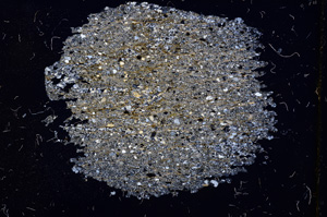 Cross Polarized, E3729