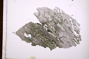 Plane Polarized, E3731