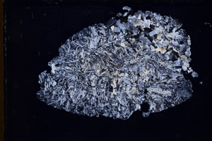 Cross Polarized, E3732