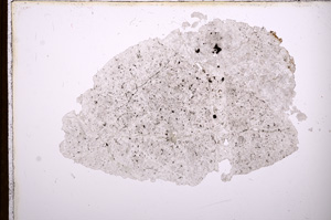 Plane Polarized, E3732