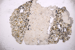 Plane Polarized, E3737