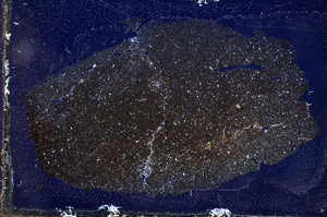 Cross Polarized, E3741