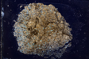 Cross Polarized, E3743