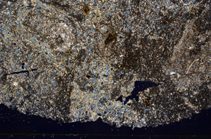 Cross Polarized, E3744