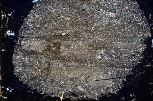 Cross Polarized, E3745