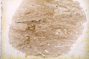 Plane Polarized, E3745