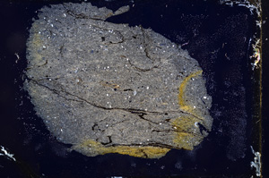 Cross Polarized, E3752