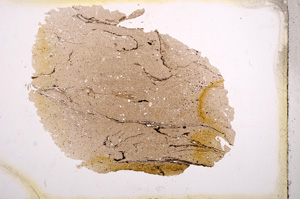 Plane Polarized, E3752