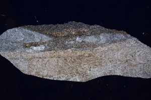 Cross Polarized, E3753