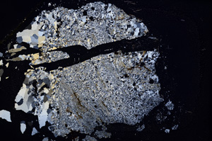 Cross Polarized, E3758