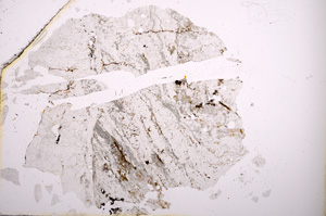 Plane Polarized, E3758