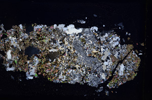 Cross Polarized, E3759