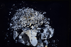 Cross Polarized, E3760