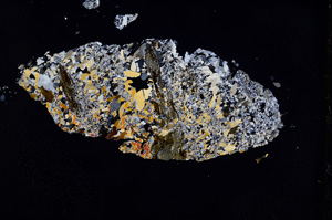 Cross Polarized, E3761