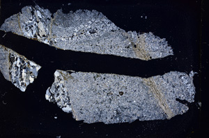 Cross Polarized, E3767