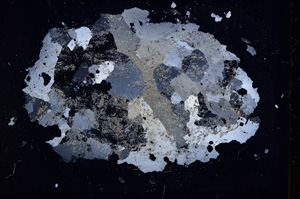 Cross Polarized, E3768