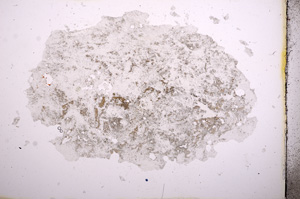 Plane Polarized, E3768