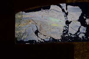 Cross Polarized, E3775