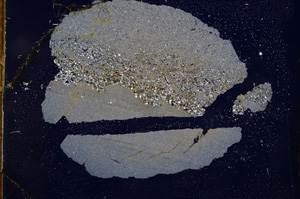 Cross Polarized, E3776