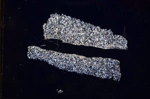 Cross Polarized, E3777