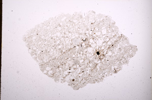 Plane Polarized, E3782