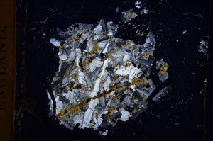 Cross Polarized, E3788