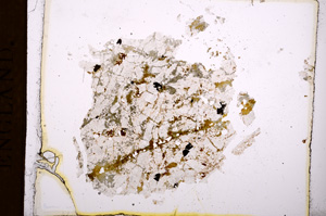 Plane Polarized, E3788