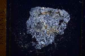 Cross Polarized, E3789