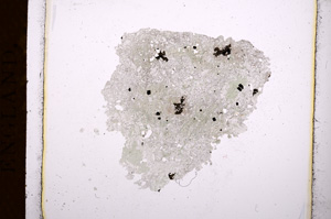 Plane Polarized, E3789