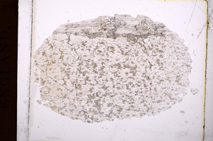 Plane Polarized, E3792