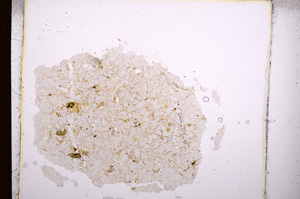 Plane Polarized, E3796