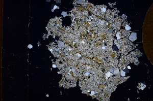 Cross Polarized, E3800