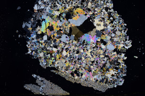 Cross Polarized, E3805