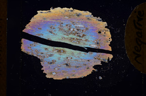 Cross Polarized, E3807