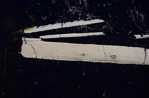 Cross Polarized, E3808