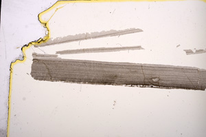 Plane Polarized, E3808