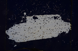 Cross Polarized, E3810