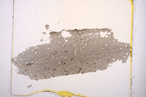 Plane Polarized, E3810