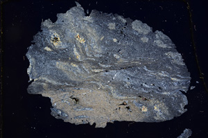 Cross Polarized, E3811