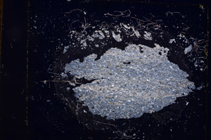 Cross Polarized, E3812