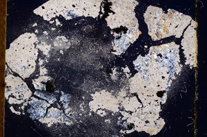 Cross Polarized, E3824